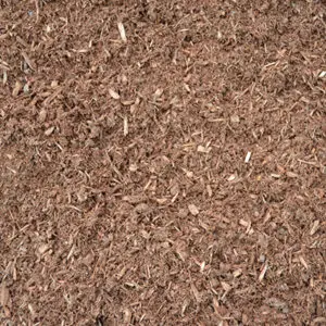 Hemlock Mulch