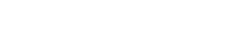 Techo-Bloc-white-Logo